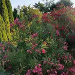 Parenzo Villa Porec