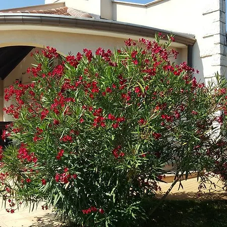 Parenzo Villa Poreč