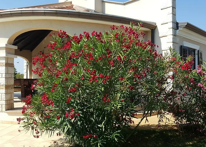 Parenzo فيلة بوريتش