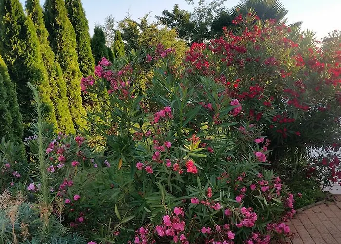 Parenzo ヴィラ ポレッチ